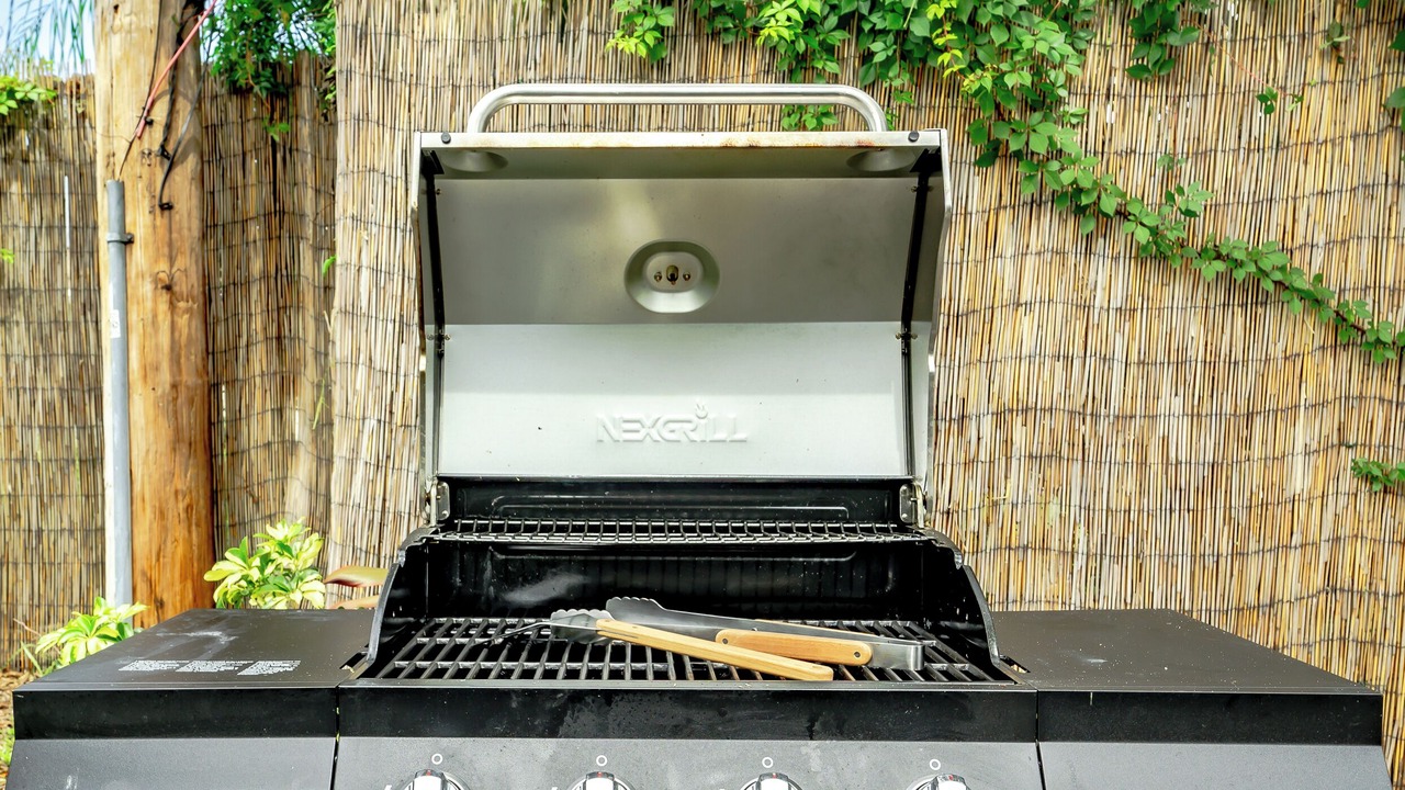 Photo of Outdoor in Tropic Palms