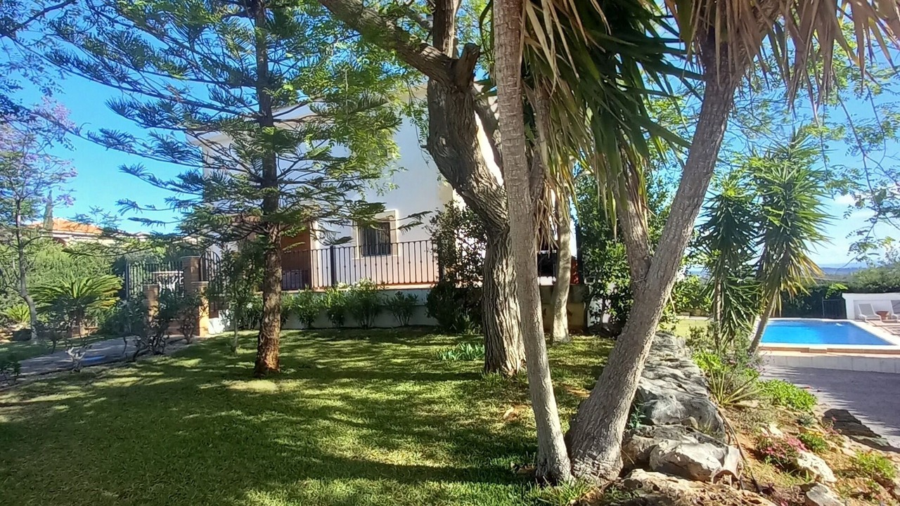 Photo of Outdoor in Turis