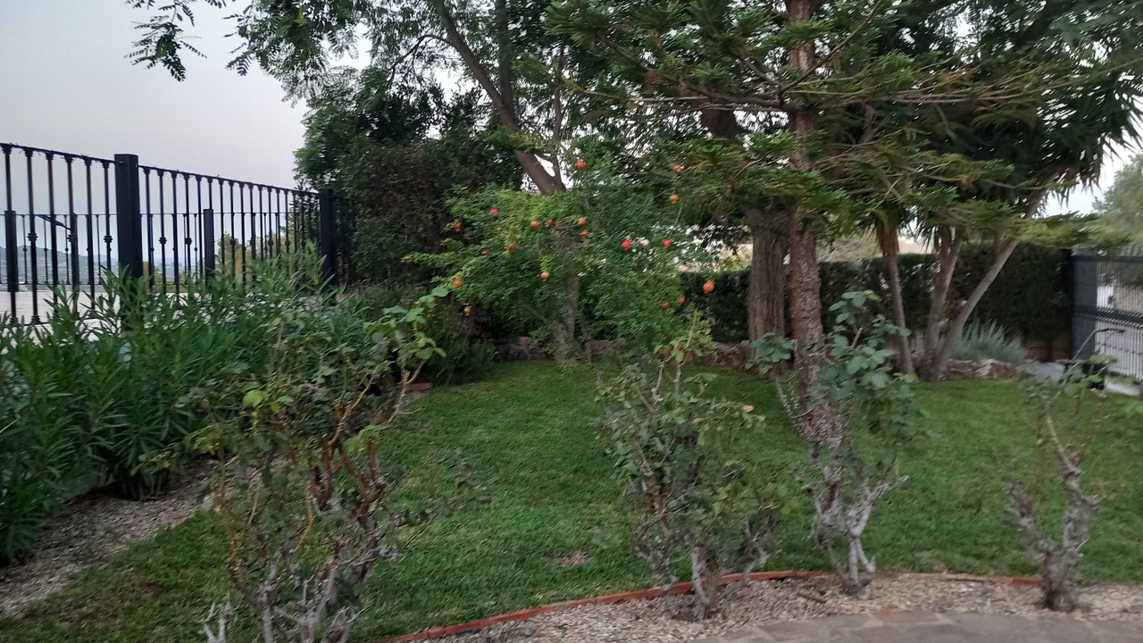 Photo of Outdoor in Turis