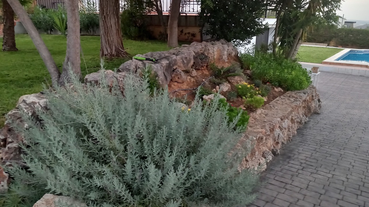 Photo of Outdoor in Turis