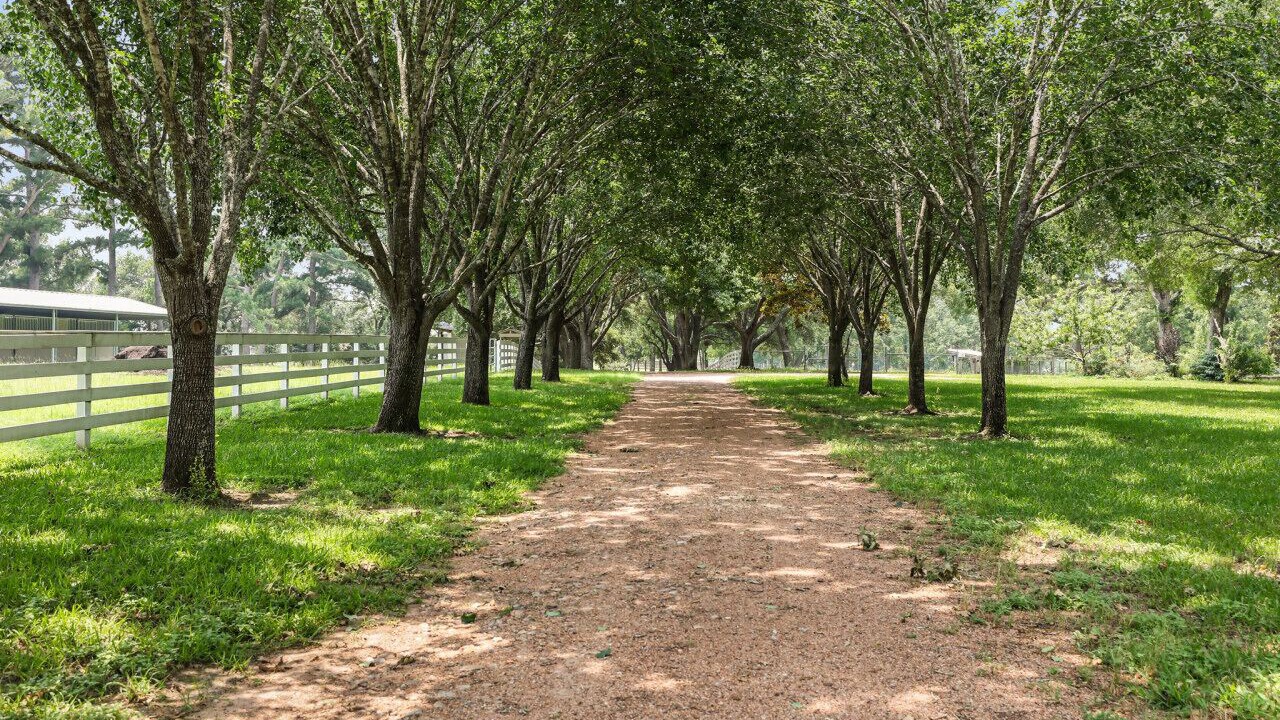 Photo of Outdoor in Sealy