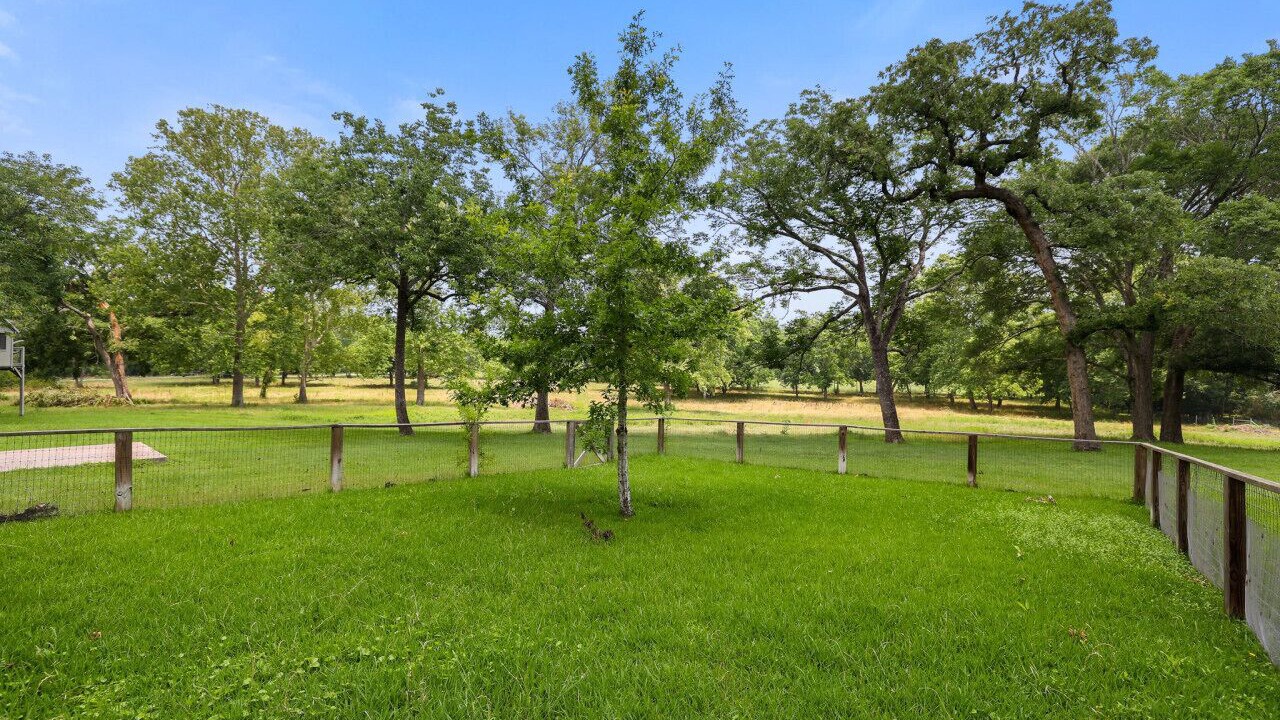 Photo of Outdoor in Sealy