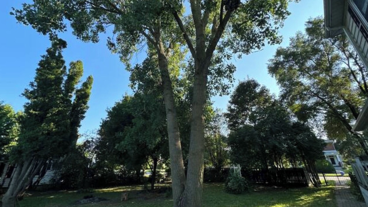 Photo of Outdoor in Ingersoll