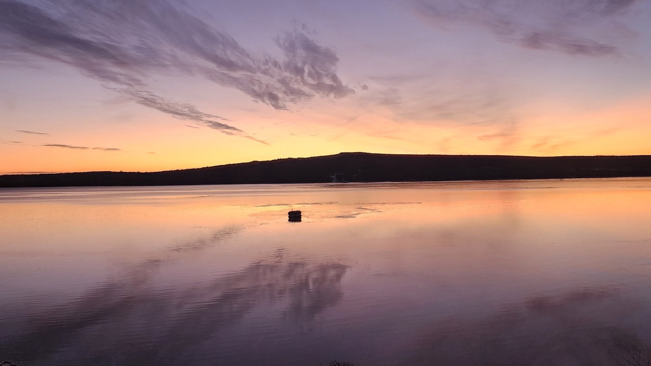 Photo of Others in Lewisporte