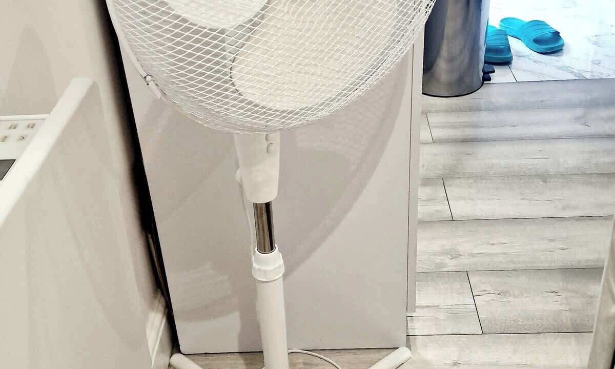 Photo of Others in West Thurrock