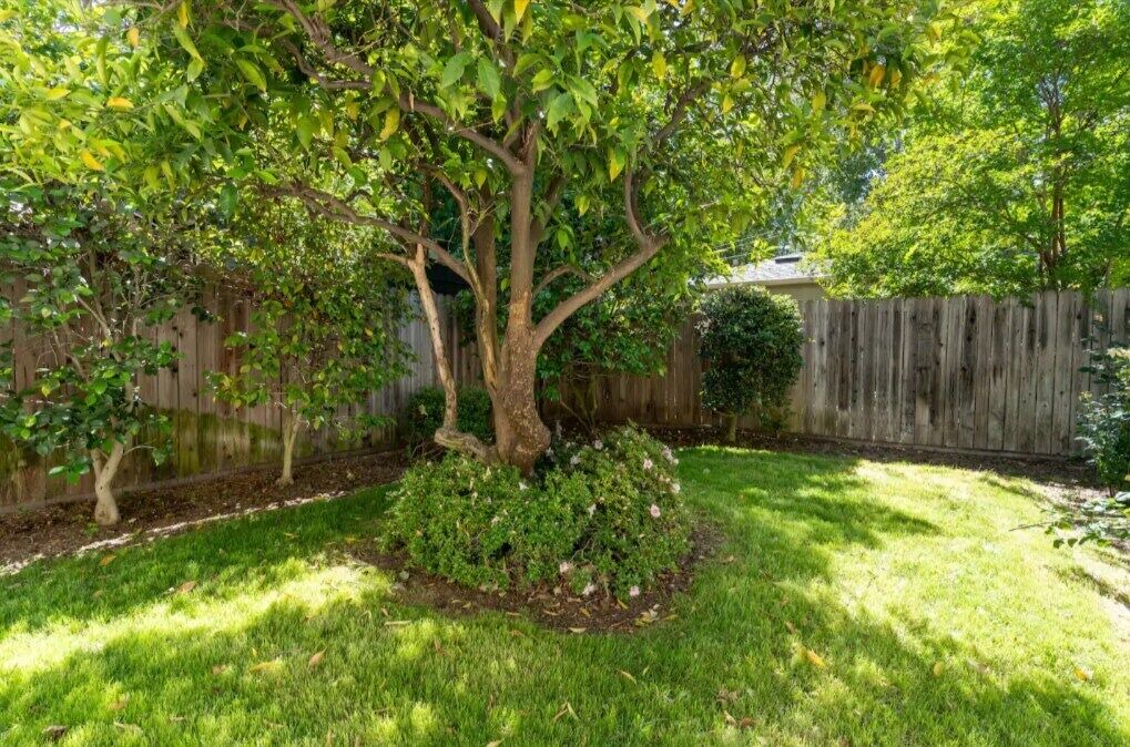 Photo of Outdoor in Land Park