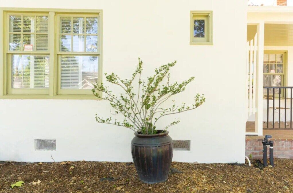 Photo of Outdoor in Land Park