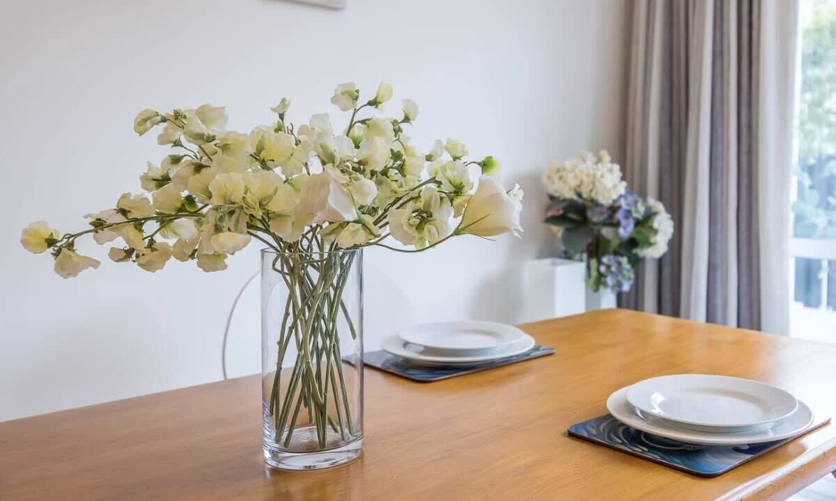 Photo of Others in St. Mary's Bay