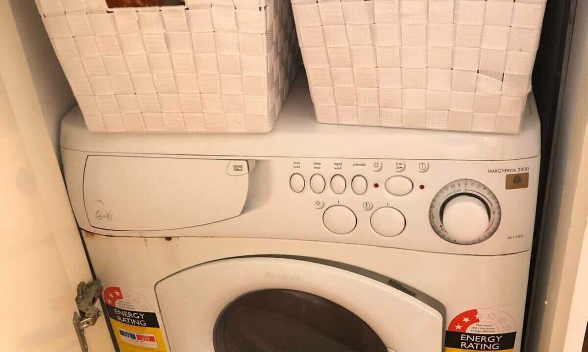 Photo of Others in St. Mary's Bay