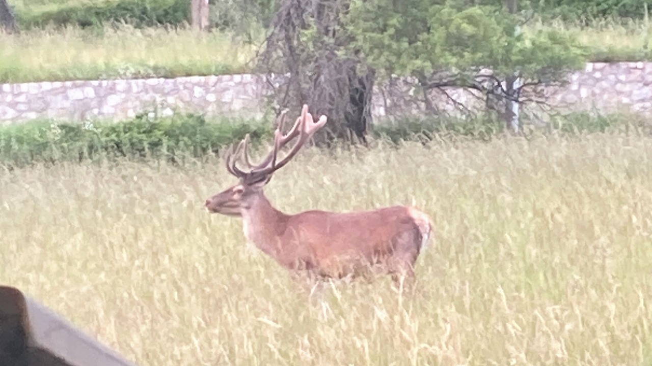 Photo of Outdoor in Saint-Leger