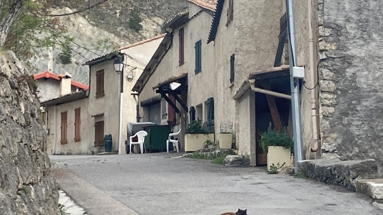 Photo of Outdoor in Saint-Leger