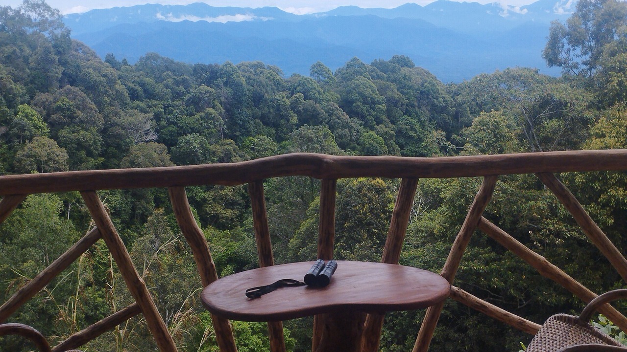 Photo of Outdoor in Langkat