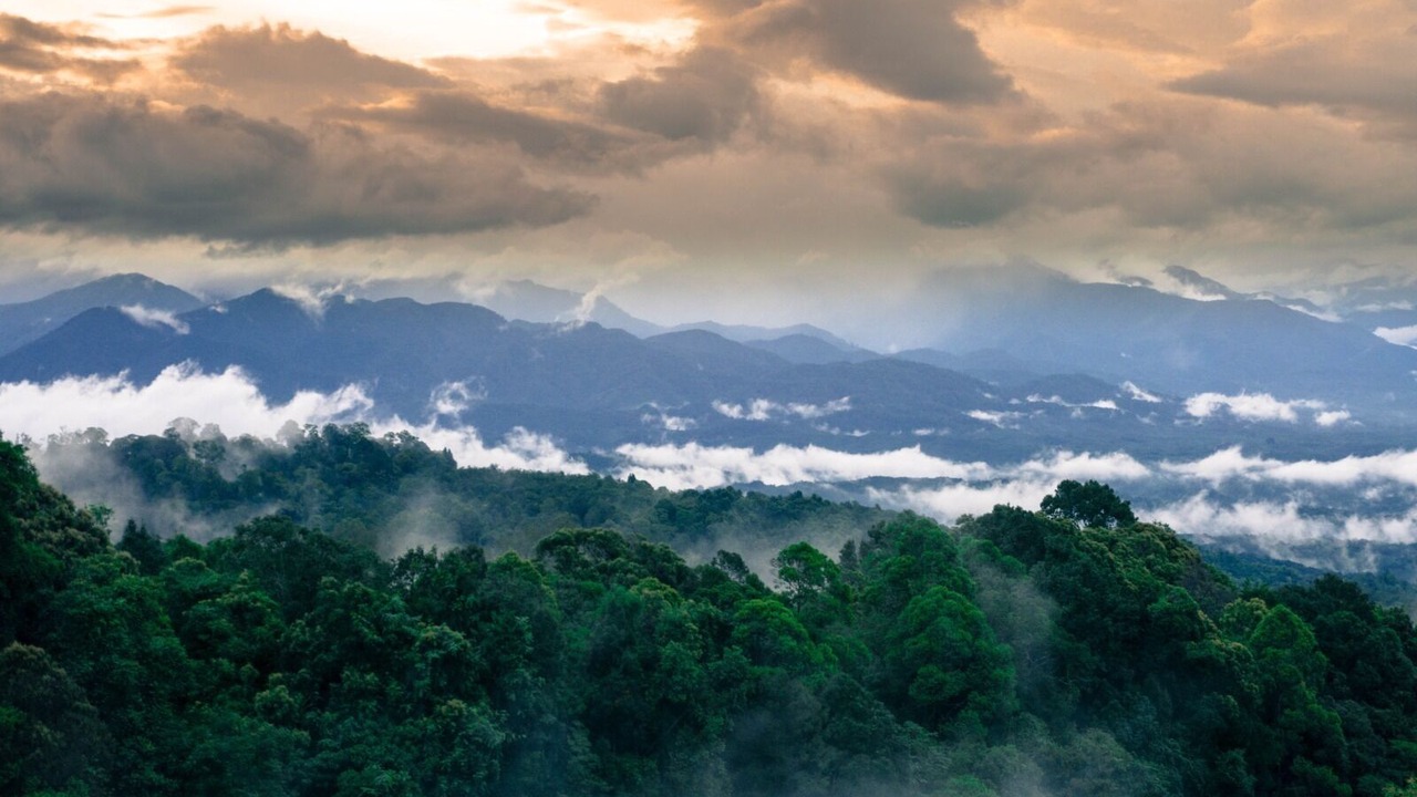 Photo of Others in Langkat