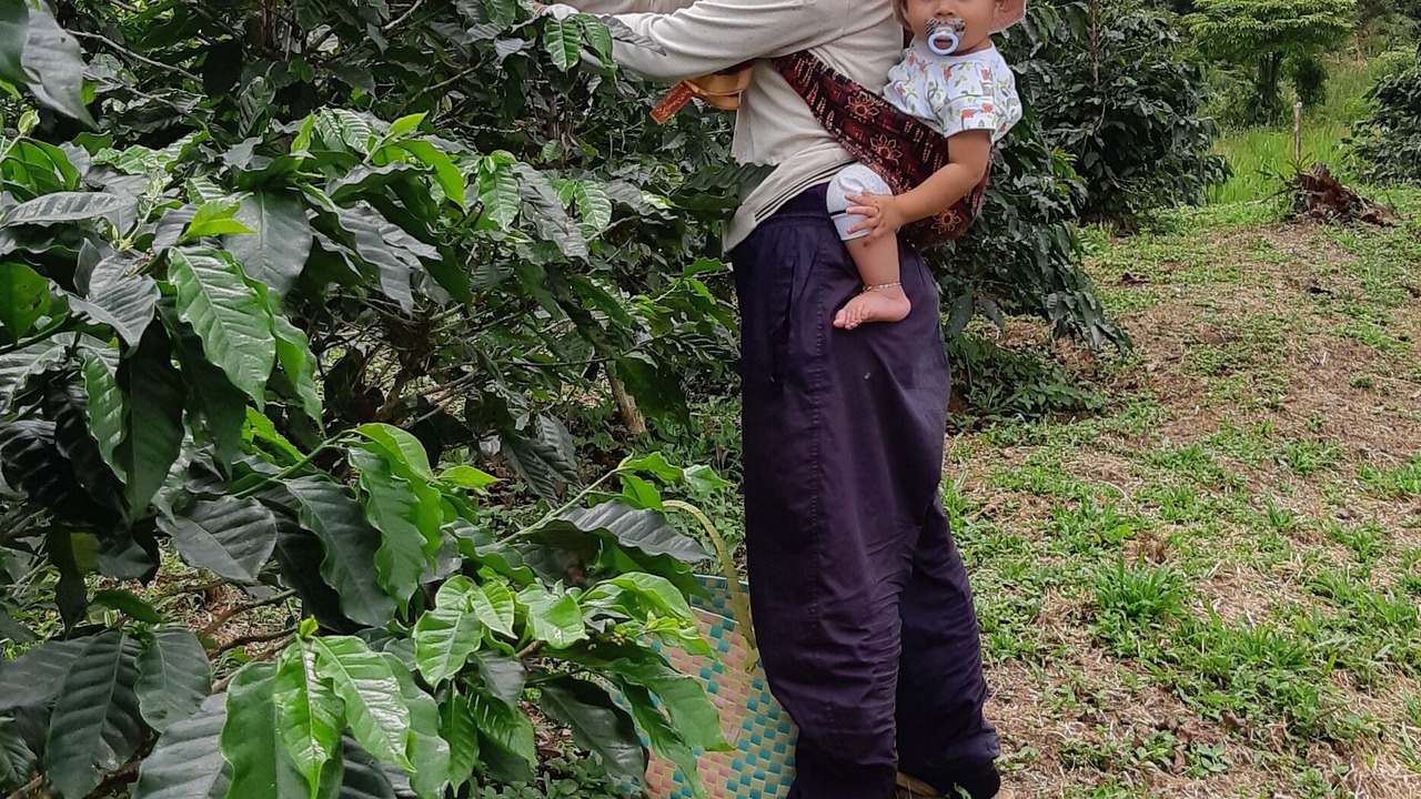 Photo of Outdoor in Langkat