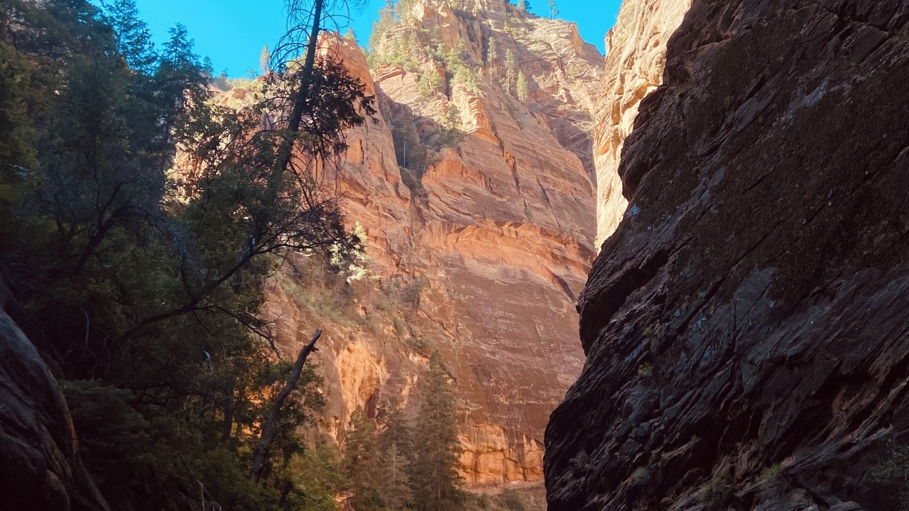 Photo of Outdoor in Zion National Park South Entrance