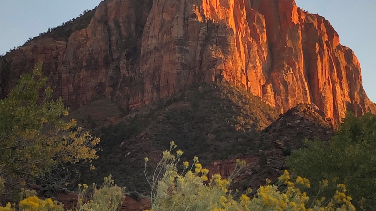 Photo of Others in Zion National Park South Entrance