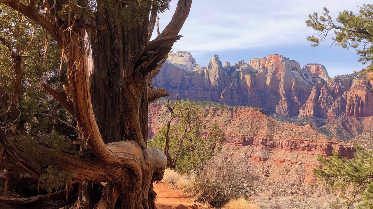 Photo of Others in Zion National Park South Entrance