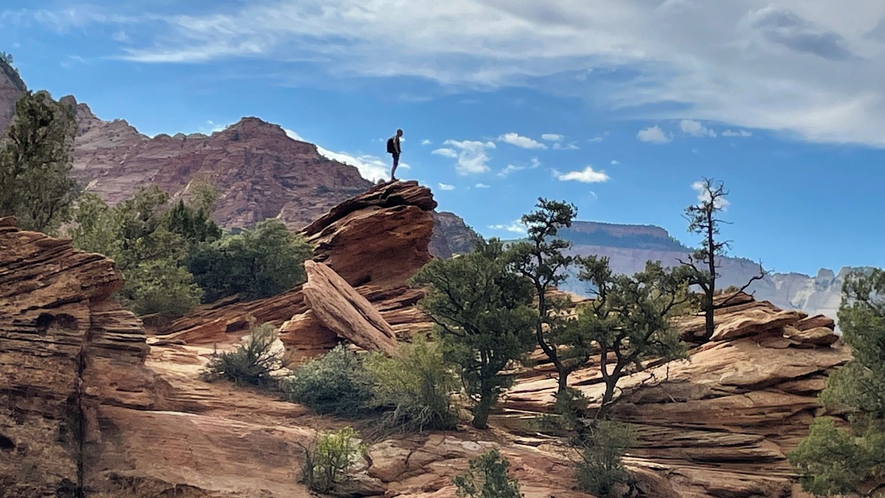 Photo of Others in Zion National Park South Entrance