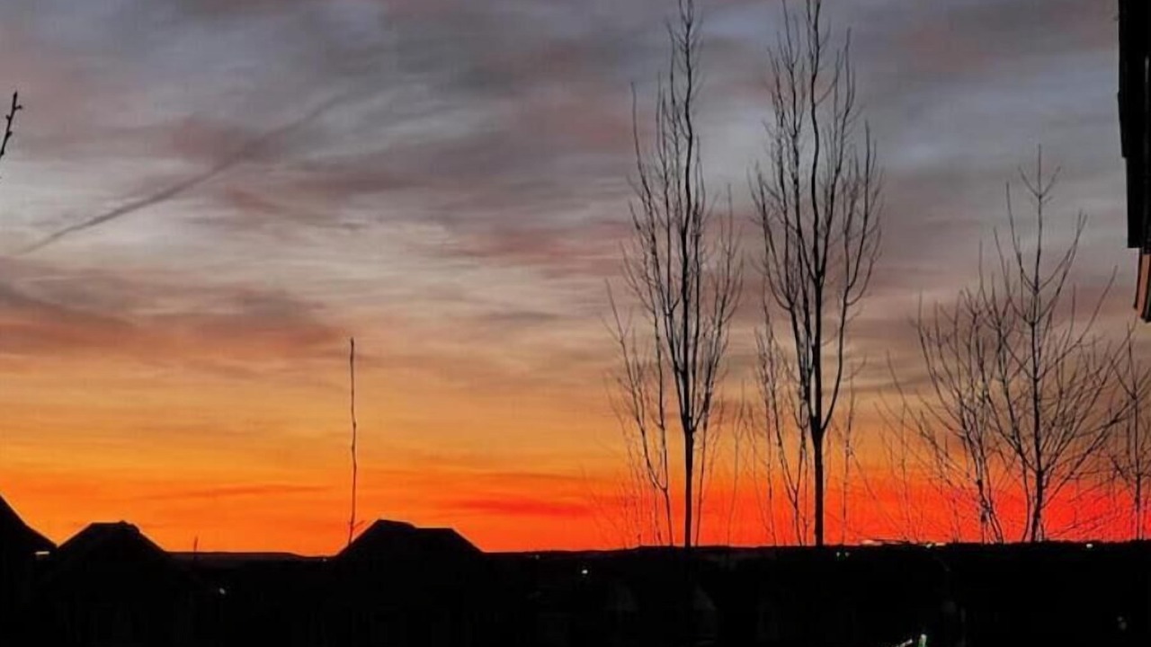 Photo of Bedroom in Cochrane