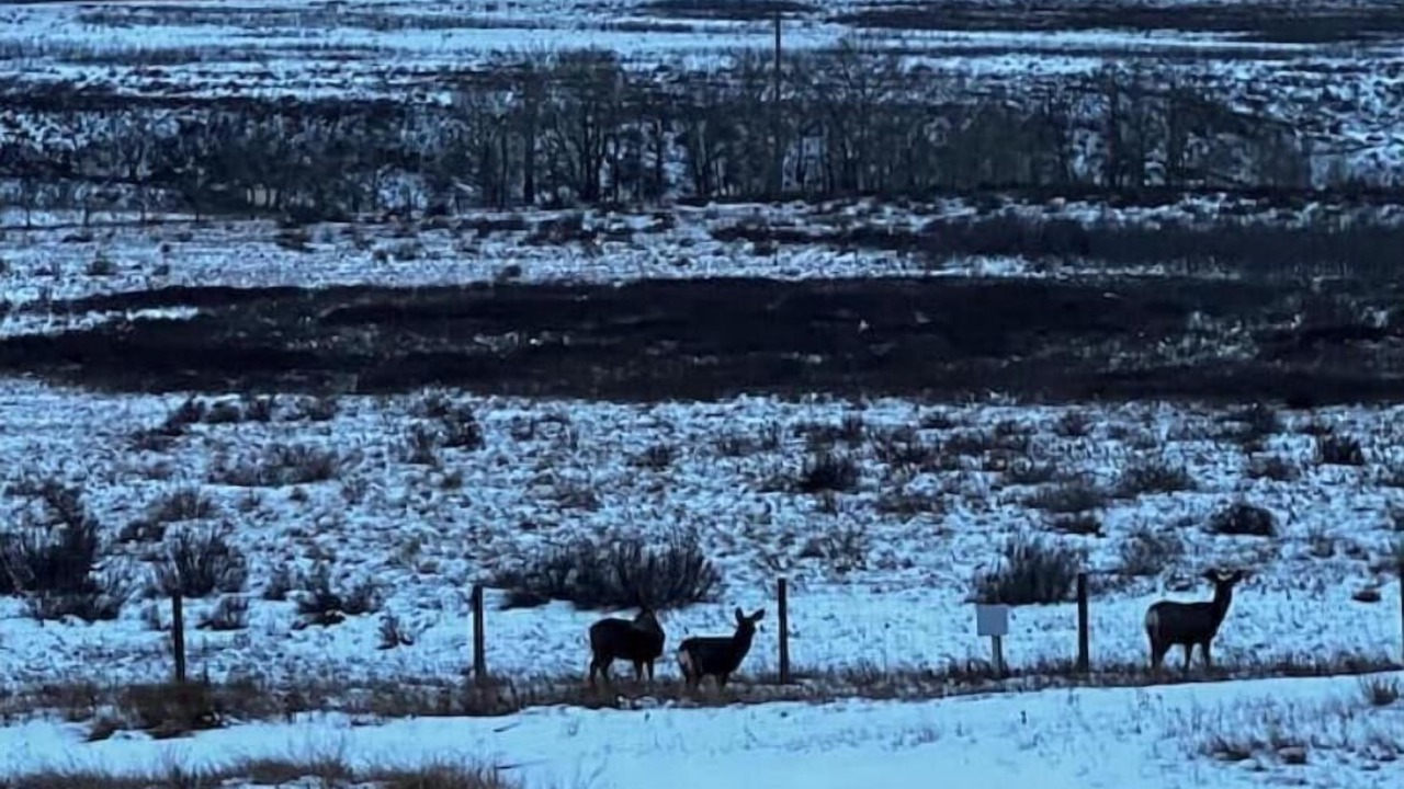 Photo of Others in Cochrane
