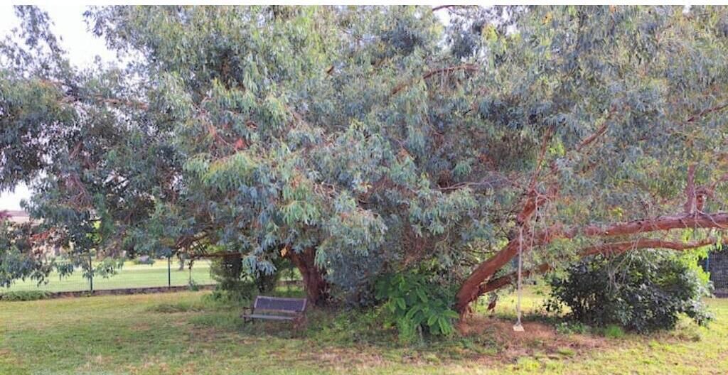 Photo of Outdoor in Saint-Medard-de-Guizieres