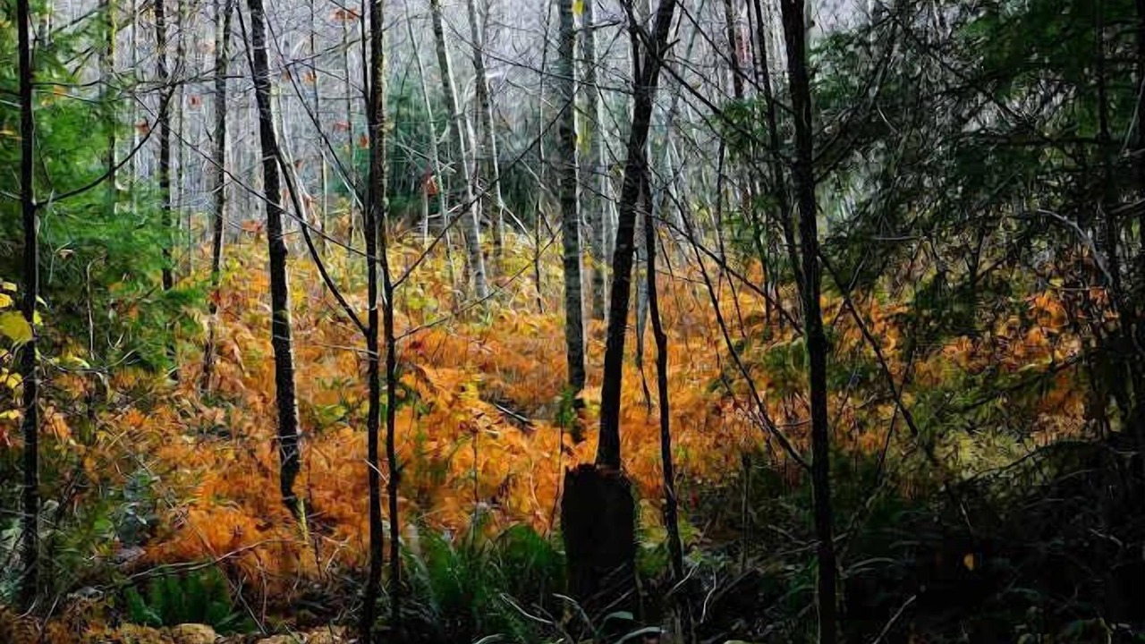 Photo of Others in Darrington