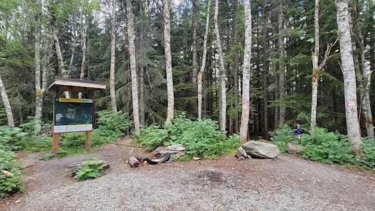 Photo of Others in Darrington