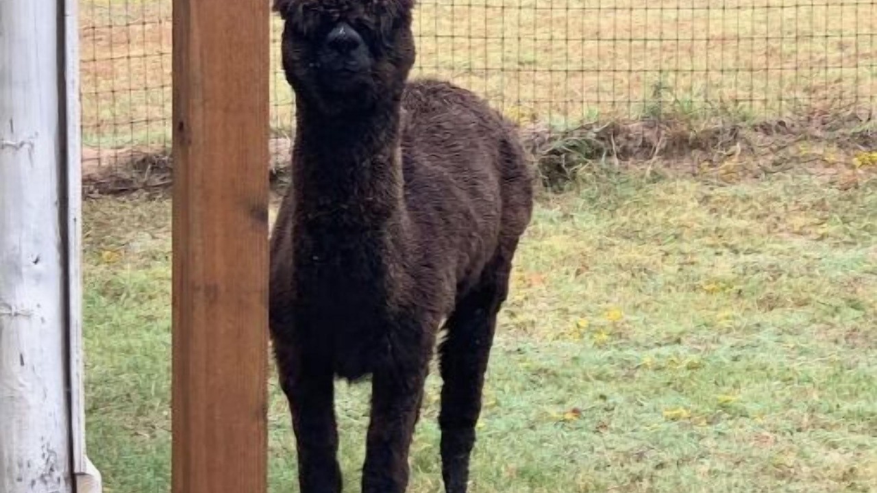 Photo of Outdoor in Denison