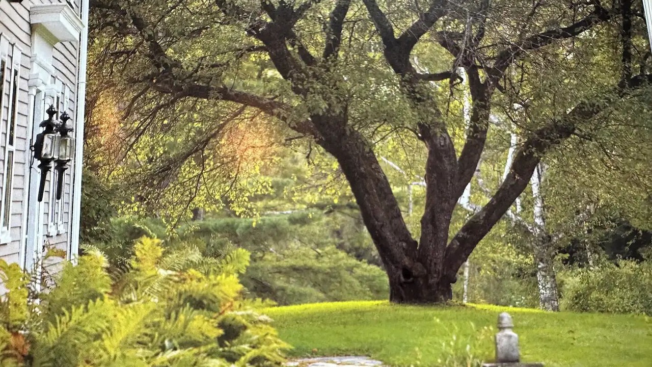 Photo of Others in Manchester Center