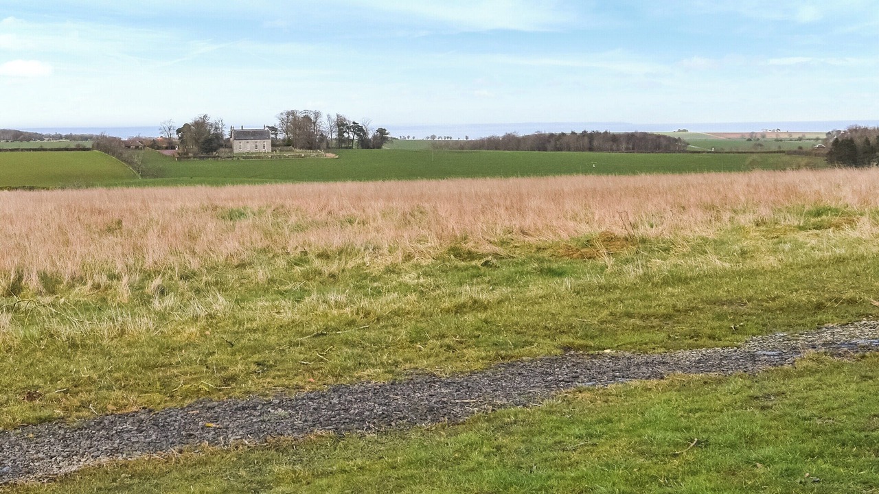 Photo of Others in St. Andrews