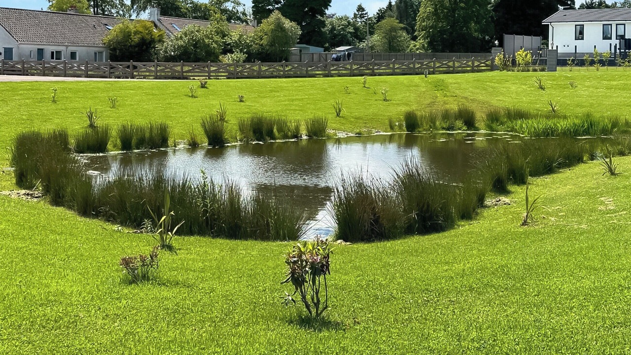 Photo of Others in St. Andrews