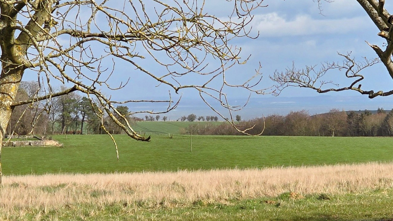 Photo of Others in St. Andrews