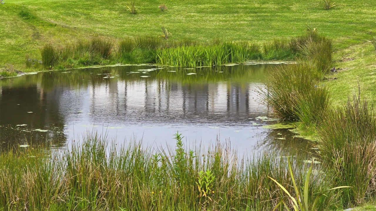 Photo of Others in St. Andrews