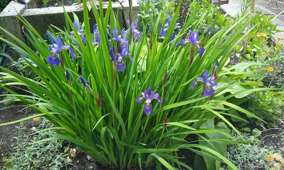 Photo of Others in Miller Park