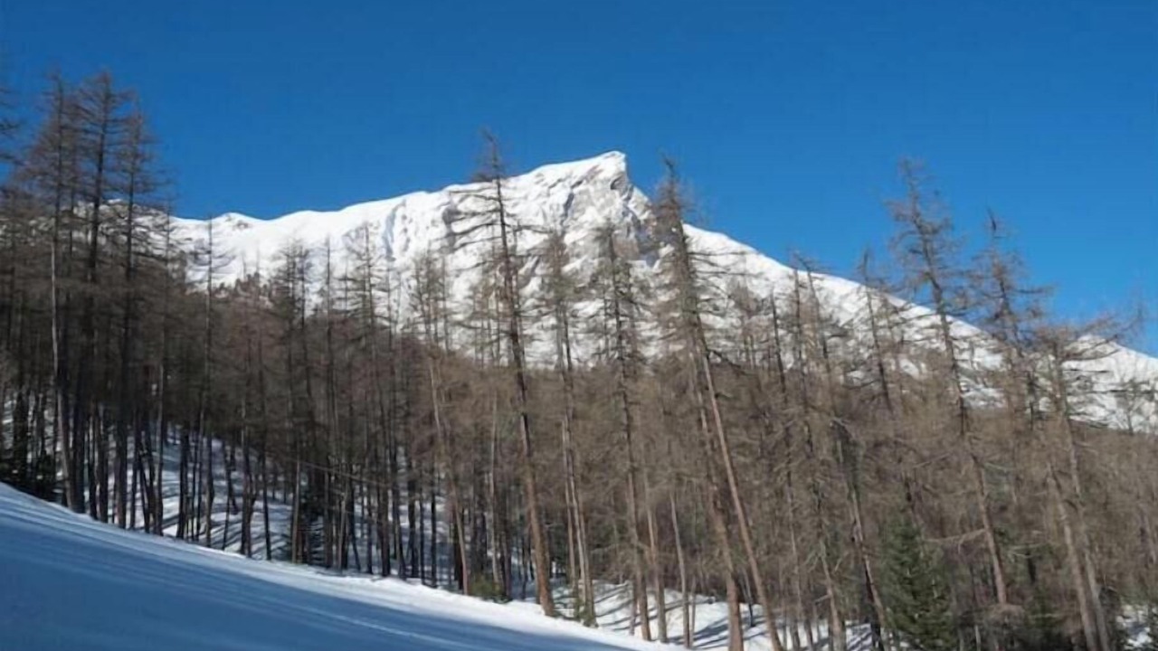 Photo of Others in Laye