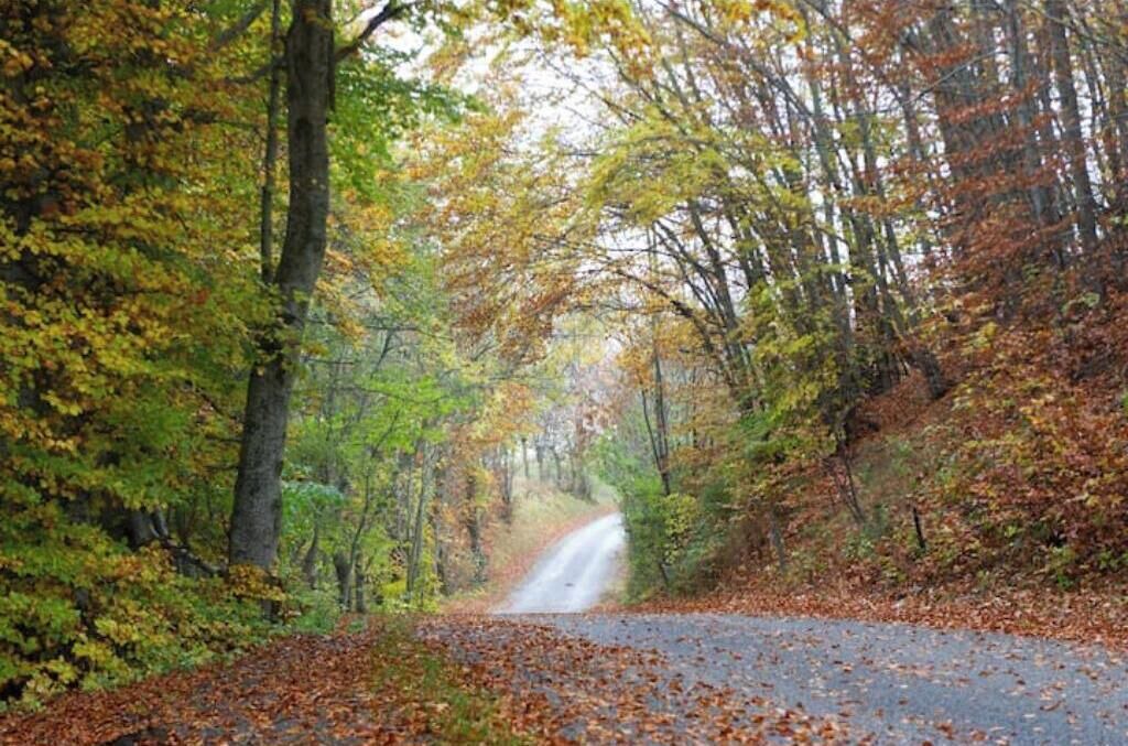 Photo of Others in Laye