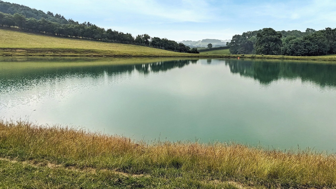 Photo of Others in Eaton Mascott