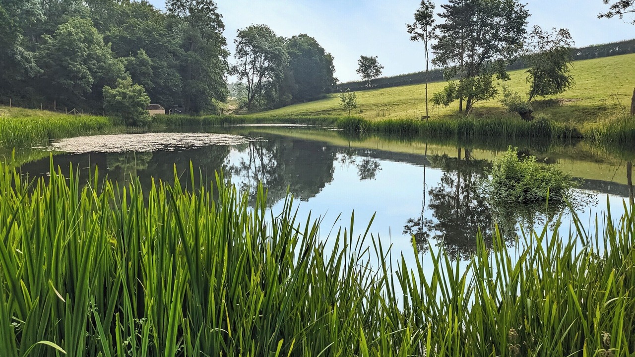 Photo of Others in Eaton Mascott