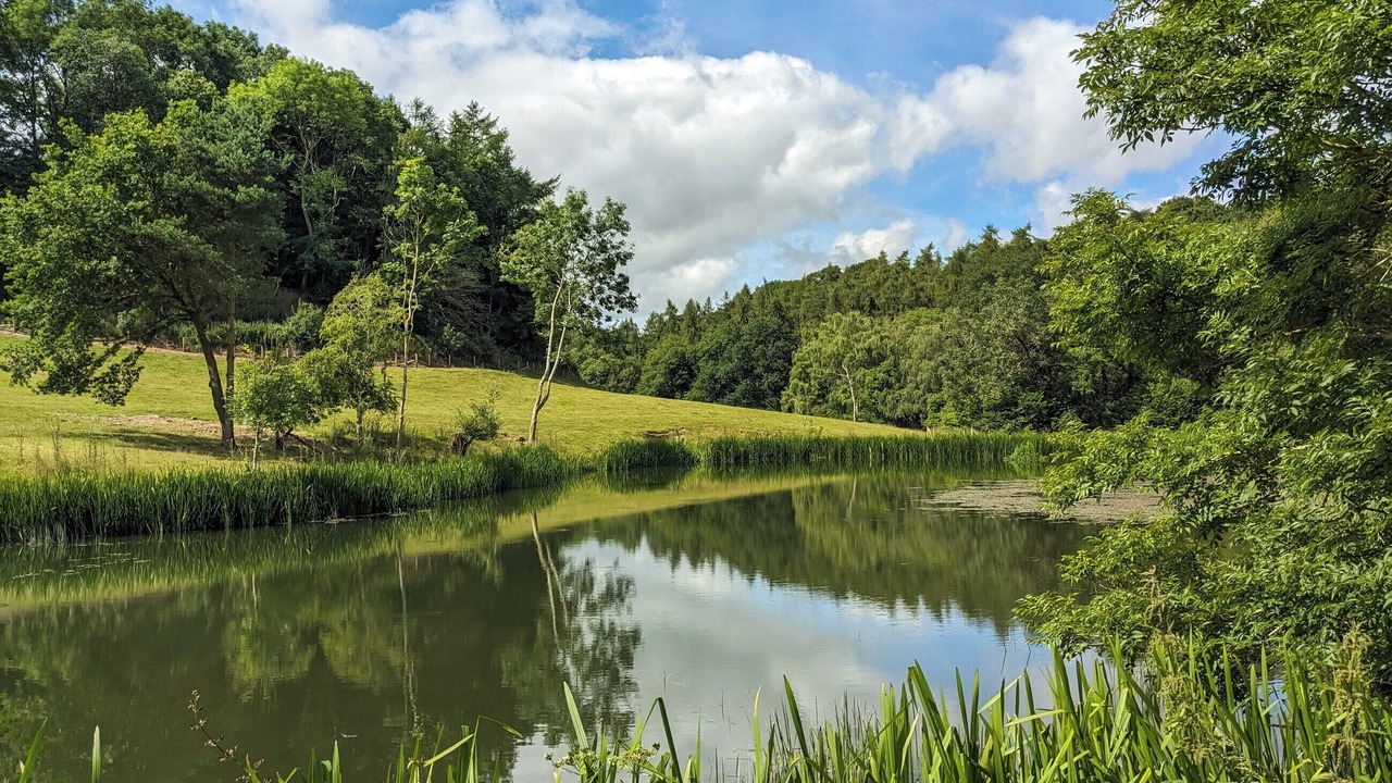 Photo of Others in Eaton Mascott