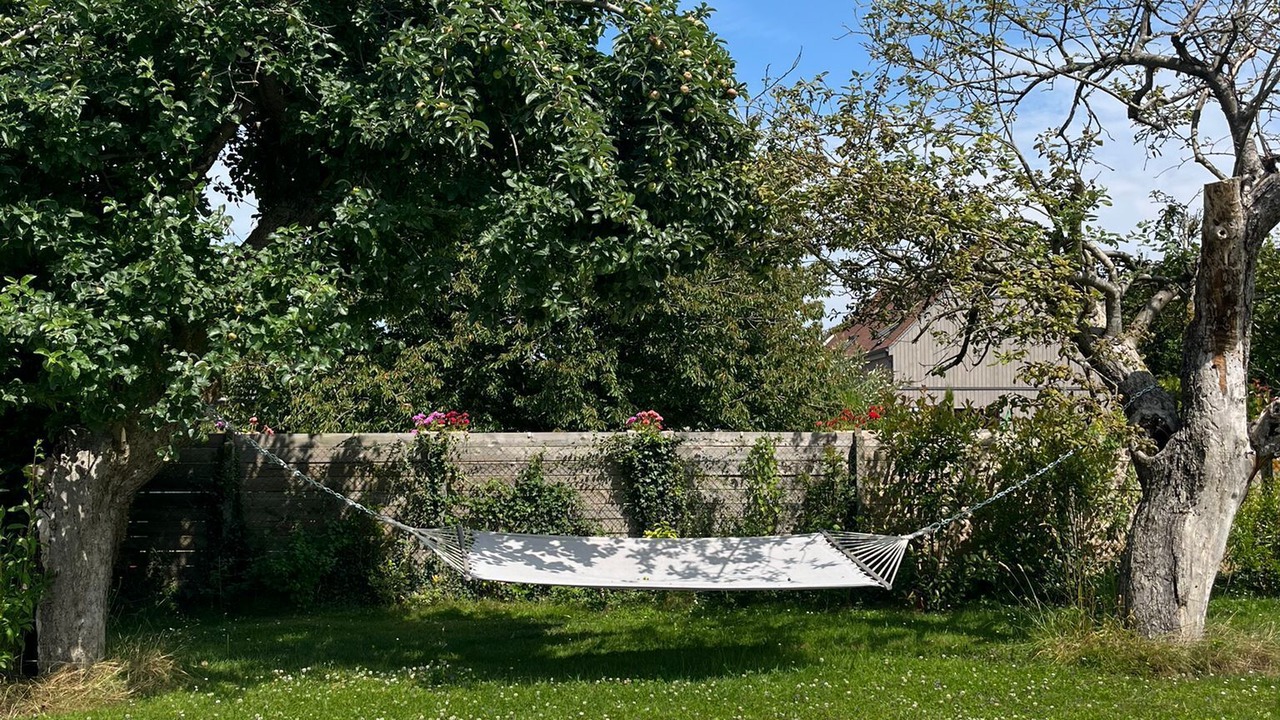 Photo of Outdoor in Bourron-Marlotte