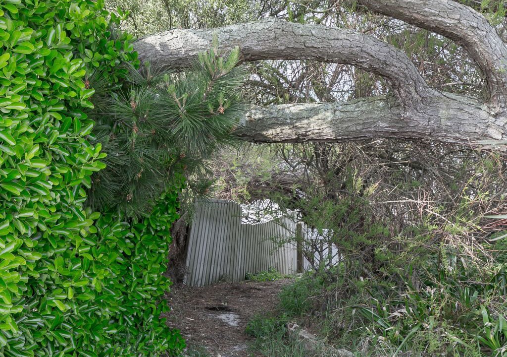 Photo of Others in Santec