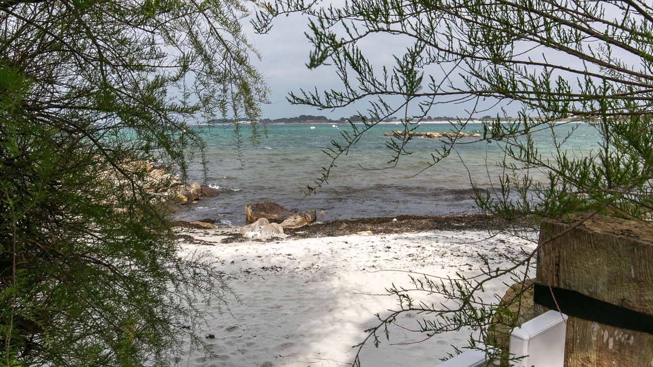 Photo of Others in Santec