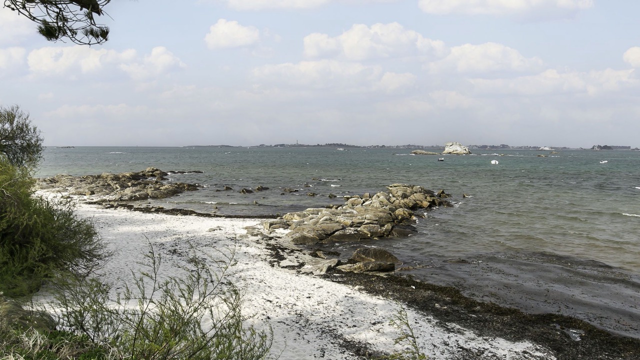 Photo of Others in Santec