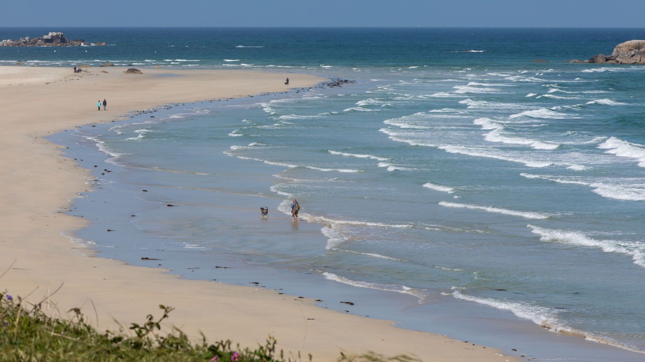 Photo of Others in Cleder