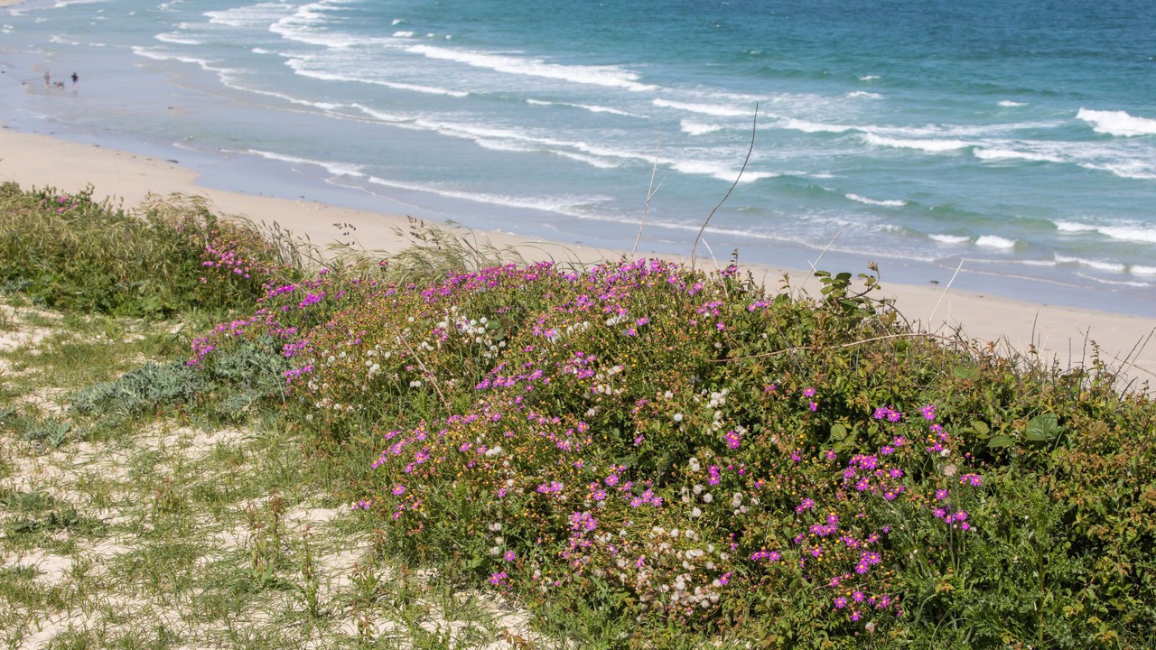 Photo of Others in Cleder