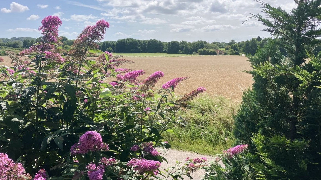 Photo of Outdoor in Faaborg