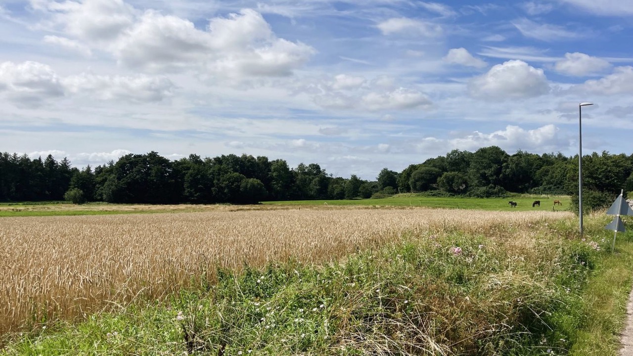 Photo of Outdoor in Faaborg