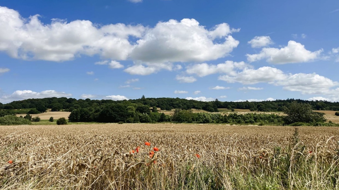 Photo of Outdoor in Faaborg