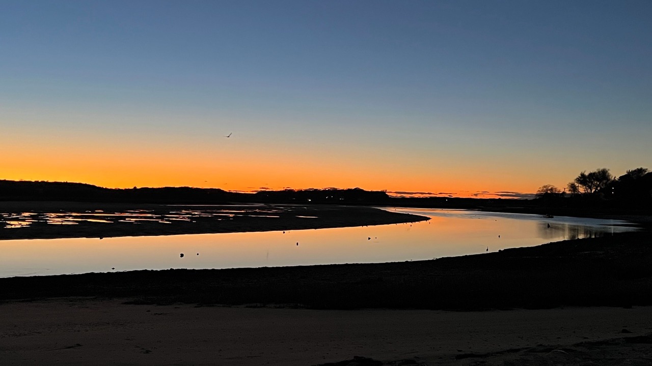 Photo of Others in Great Neck