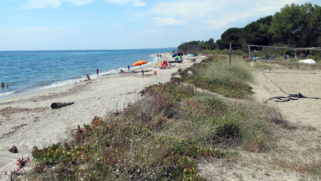 Photo of Outdoor in Talasani